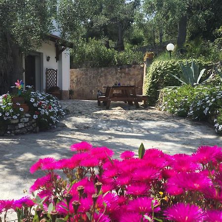 Azienda Agricola B&B Macchiaria Вьесте Экстерьер фото