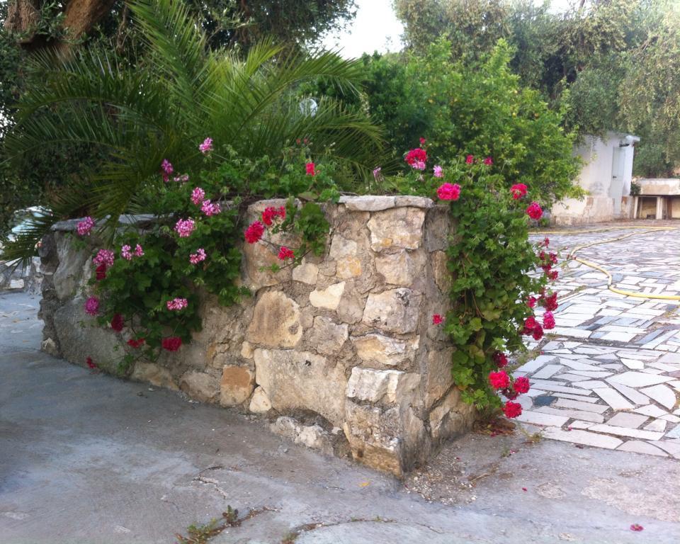 Azienda Agricola B&B Macchiaria Вьесте Экстерьер фото