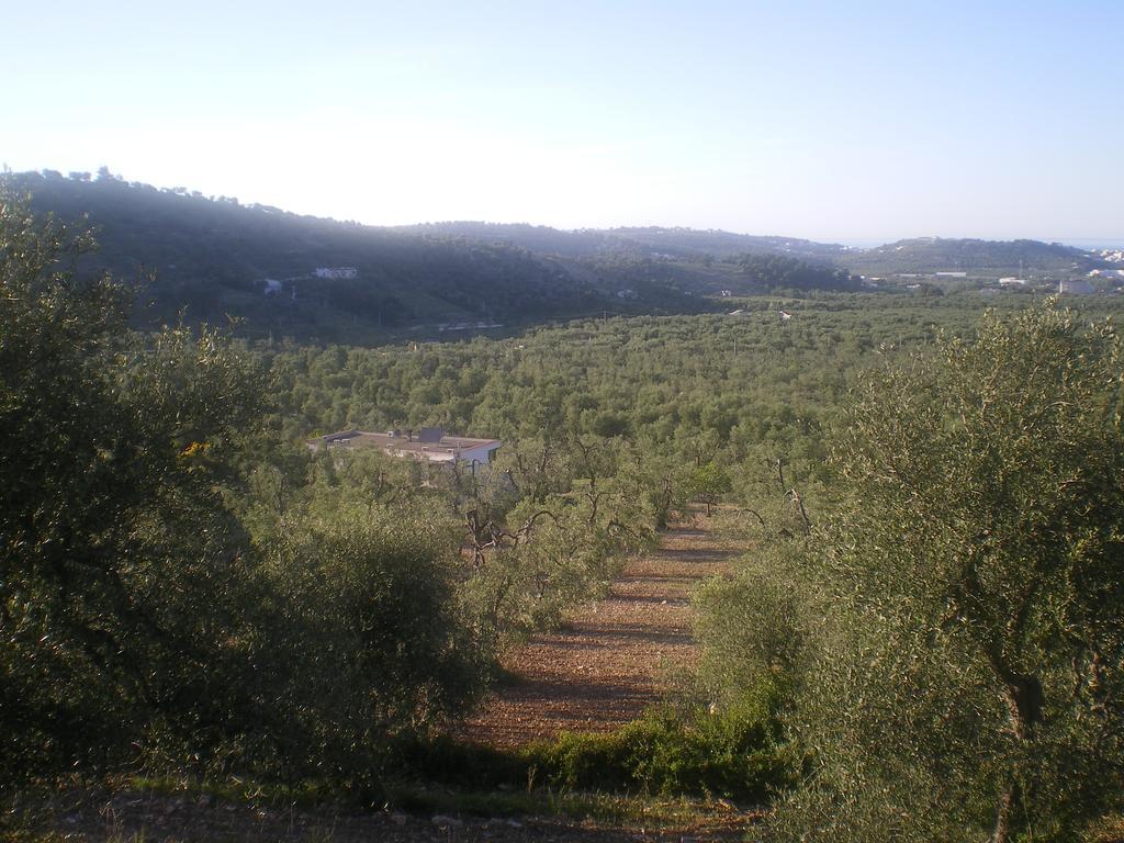 Azienda Agricola B&B Macchiaria Вьесте Экстерьер фото